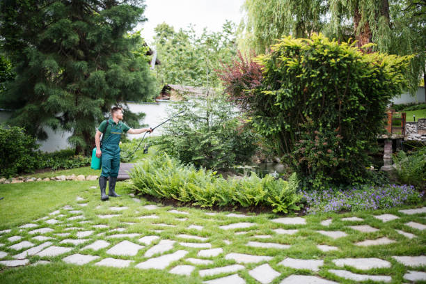 Best Local Pest Control Services  in Soh Weber, UT