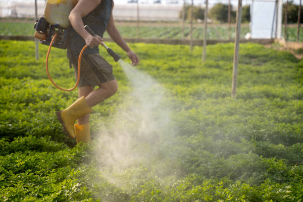 Best Mosquito Control Services  in Soh Weber, UT