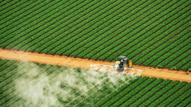 Reliable South Weber, UT Pest Control Solutions